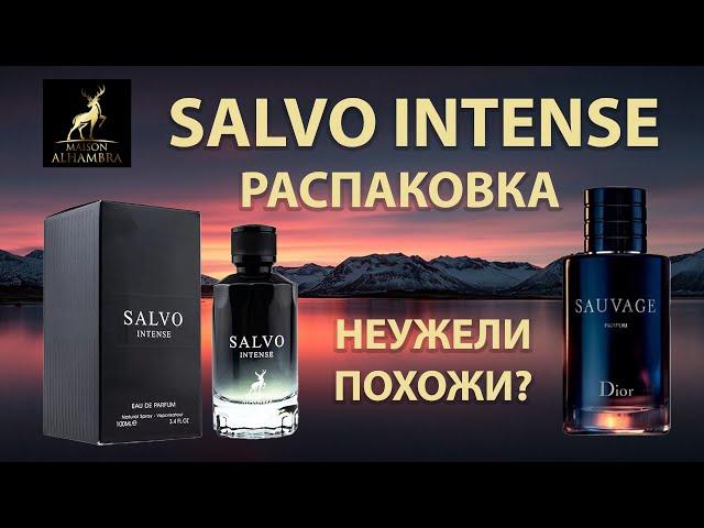 Salvo Intense Maison Alhambra - РАСПАКОВКА