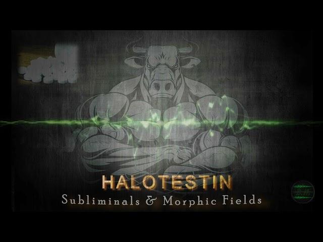 BULL STRENGTH - Halotestin | Subliminals & Morphic Fields (Highly Androgenic Activity, AR's Density)