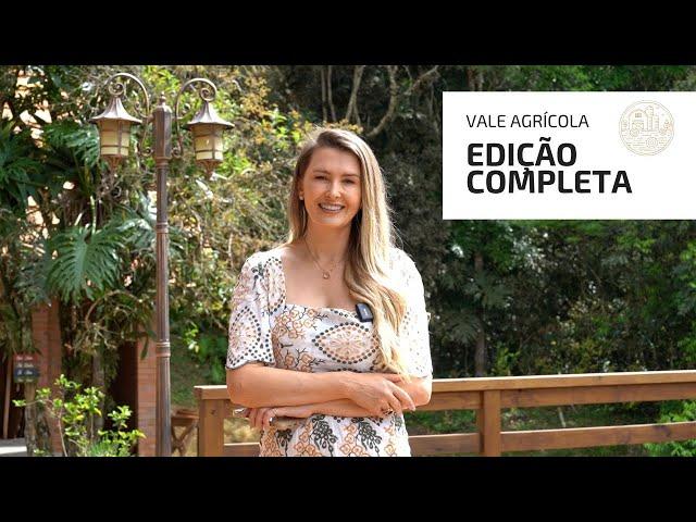 VALE AGRICOLA 341 (02/11/2024)