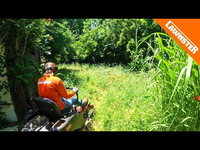 We Mowed this OVERGROWN LAWN for FREE and got ATTACKED by Wasps!