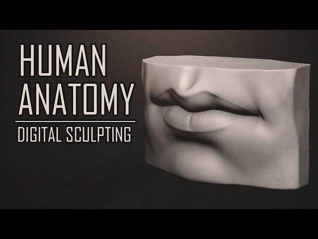 ZBrush Human Anatomy - Mouth