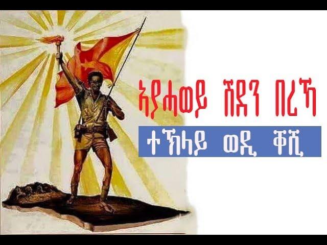 ተኽላይ ወዲ ቐሺ ~ ኣያሓወይ ሽደን በረኻ 2019