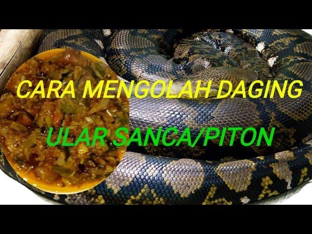 Cara mengolah DAGING ULAR SANCA/piton//patola kalo di Manado.