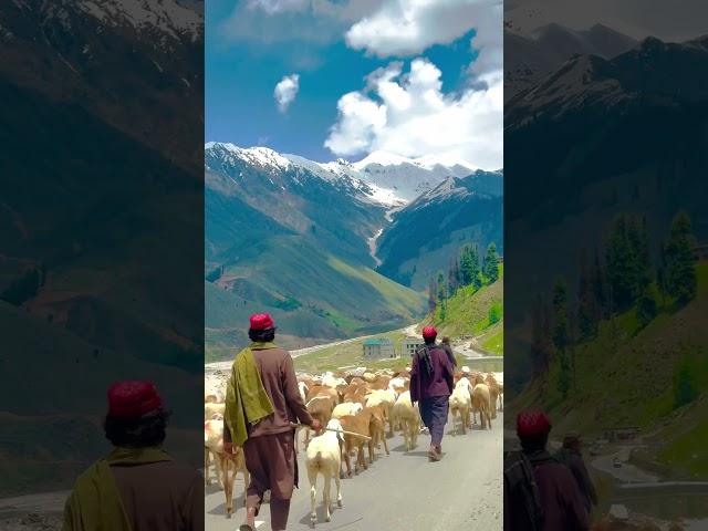 #naran #kaghan #nature #shortvideo