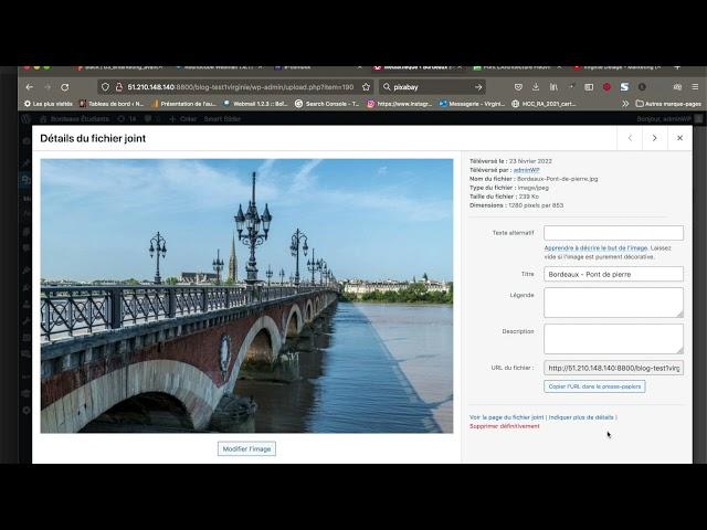 Wordpress : Bibliothèque média et Optimisation des images pour le référencement (SEO)