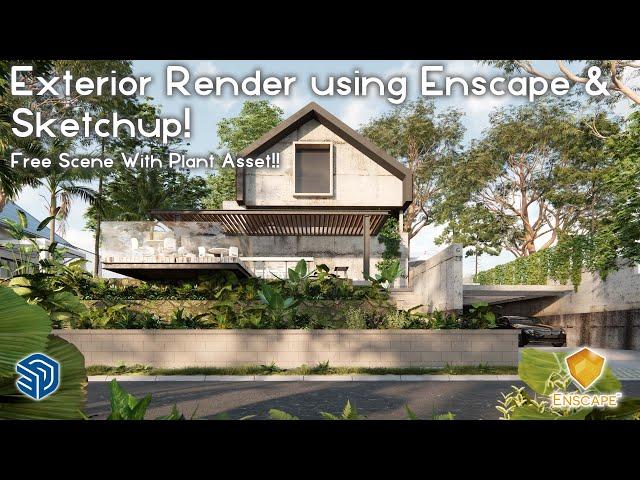 Tutorial Exterior Rendering Enscape & Sketchup | Free Scene & Plant Asset.