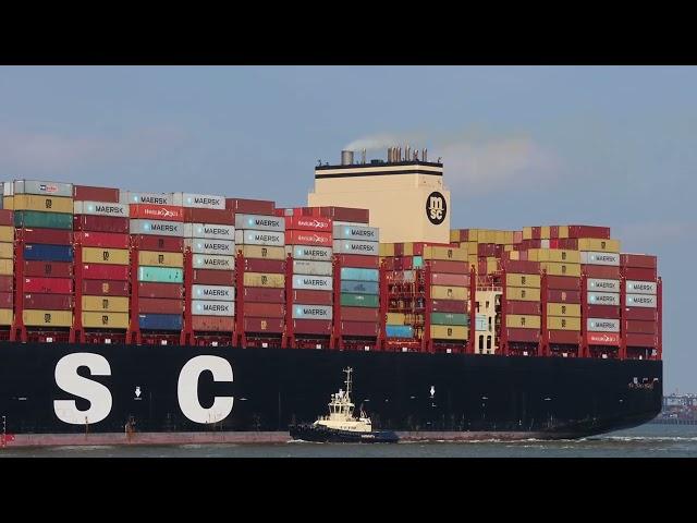 Giant ships MSC Tessa and MSC Venice at the Port of Felixstowe. #ship #shipping