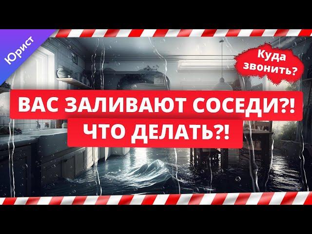 Вас заливают соседи?! Что делать?! Инструкция от юриста что делать, если квартиру затопили соседи