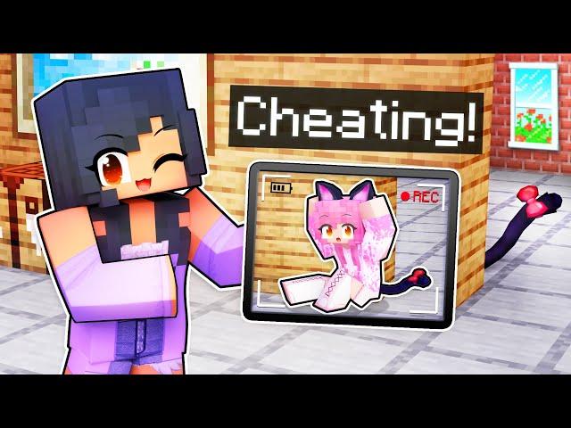 Using Cameras To CHEAT In Minecraft Hide N' Seek!