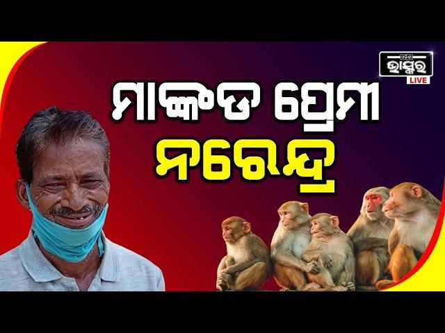 Narendra Feeding Monkey From The Last 21 Years | Odisha Bhaskar