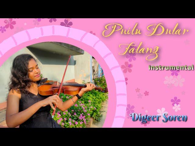 Puilu Dular Talang | Instrumental Version | Digeer Soren | Singrai Soren