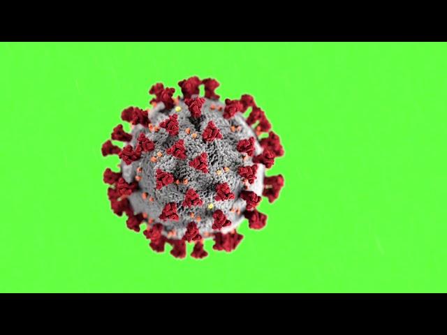 Coronavirus Model green screen Effect - COVID-19 Pandemie