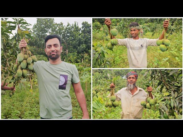 গ্রামের বাগানে আম-কাঠাল ভরপুর