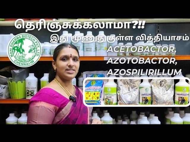 தெரிஞ்சிகலாமா?!! என்னா வித்தியாசம்?!! Acetobactor,azotobactor,Azospilirillum! #manidharma