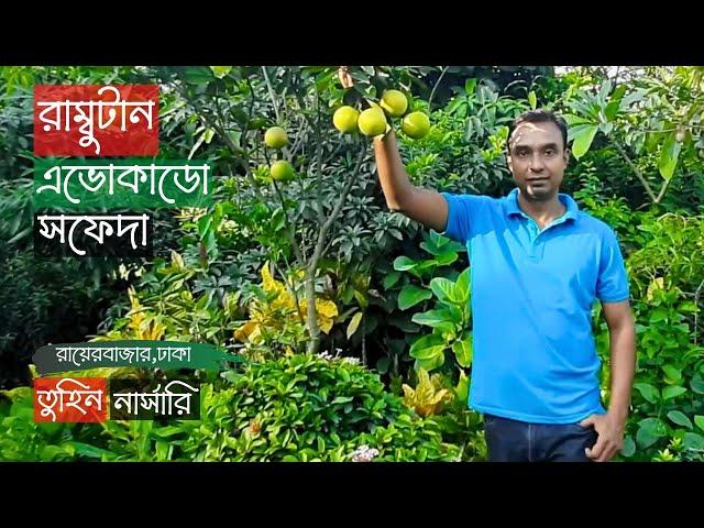 রামবুটান এভোকাডো সফেদা তুহিন নার্সারিতে | Rambutan Avocado Sapote | Gardening Bangladesh