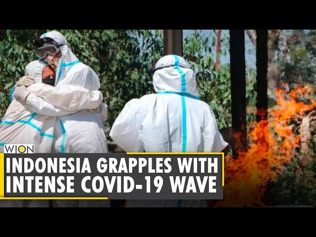 Indonesia records highest single-day spike in COVID-19 deaths | Coronavirus | Oxygen Crisis | WION