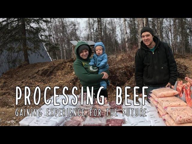 Processing Beef - Our alternative for not getting a moose