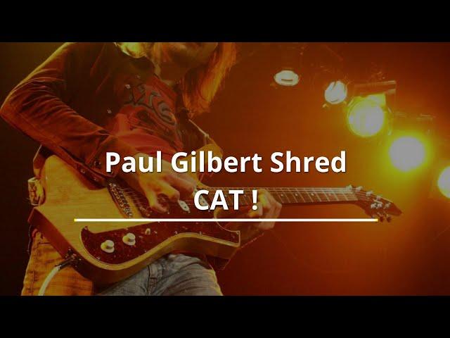 Paul Gilbert Shred CAT |