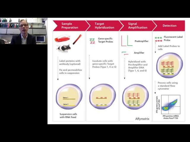 Eric Clambey - Single cell analysis of virus infection: Zika and beyond