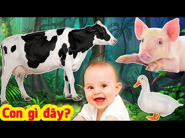 What animal is it?  Kids Learn Animals Name&Sounds of Cow, Pig, Dog, Cat, Duck - Videos for Kids