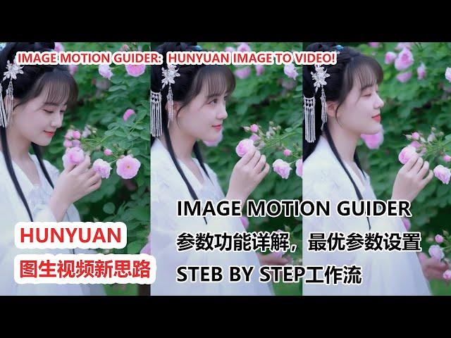 Image Motion Guider: hunyuan 图生视频新思路 | new method for image to video of hunyuan