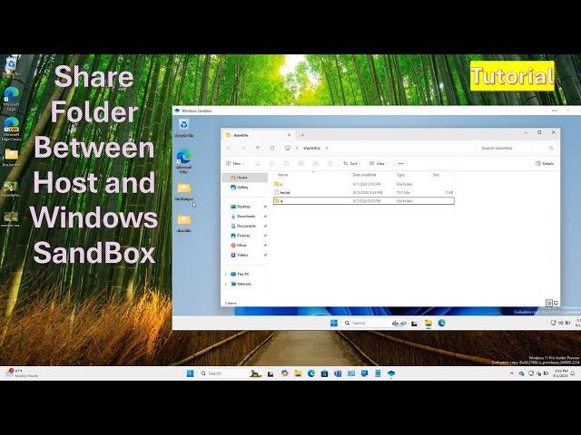 How to Share Folder Between Host and Windows Sandbox