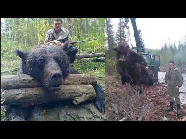 Hewan Terbesar Yang Pernah Ditangkap Manusia. Berukuran Monster