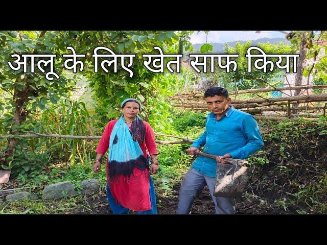 आलू के लिए खेत साफ किया pahadi village life pahadi lifestyle#pahadivillagelife #pahadilifstyle