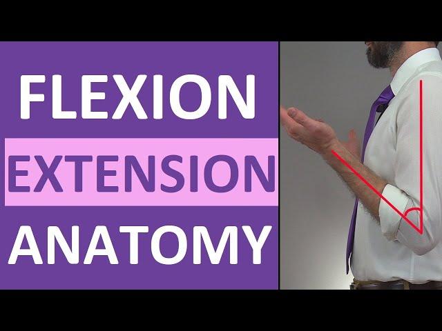 Flexion and Extension Anatomy: Shoulder, Hip, Forearm, Neck, Leg, Thumb, Wrist, Spine, Finger