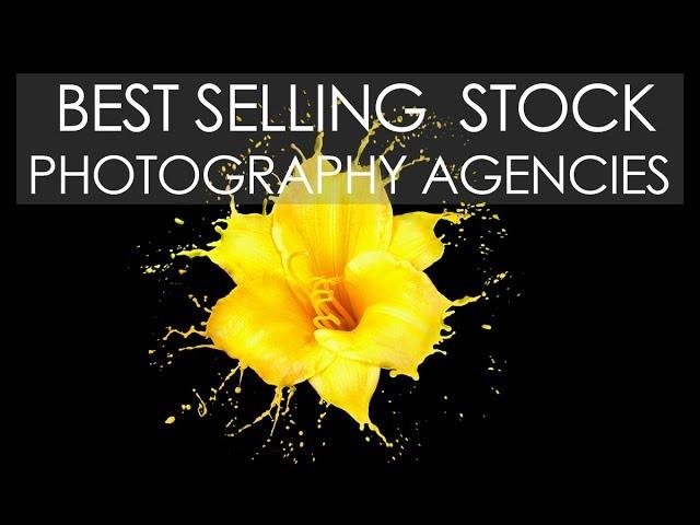 Best SELLING Stock PHOTOGRAPHY Agencies in the last 12 months