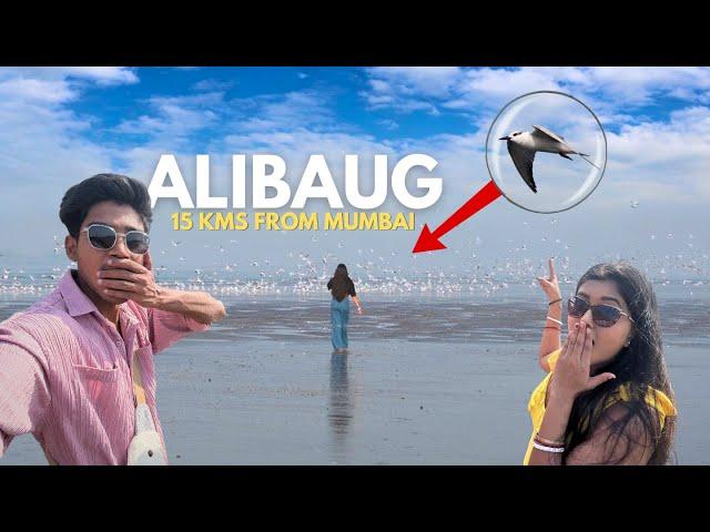 Alibag Vlog | Alibag Tourist Places | Alibaug Beach | Alibag Beach, Hotels, Food, Resorts