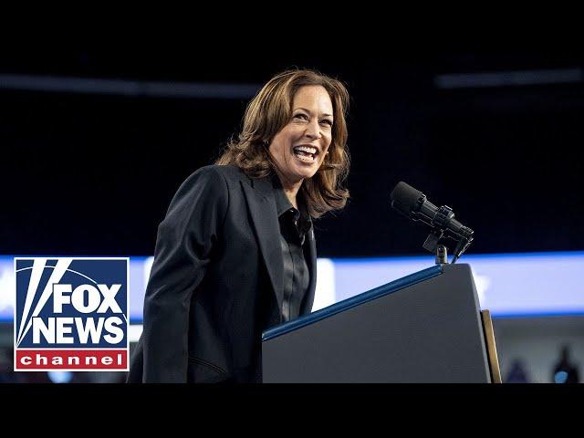 ‘MEDIA BLITZ’: Kamala Harris attempts to shake up the 2024 race