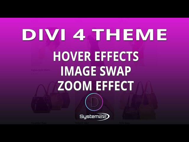 Divi Theme Hover Effects Image Swap Zoom Effect 