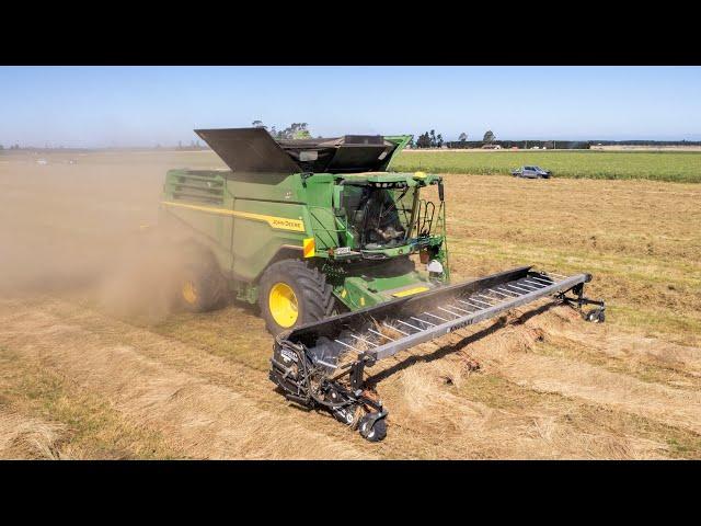 John Deere X9 1100 - Harvesting Grass Seed