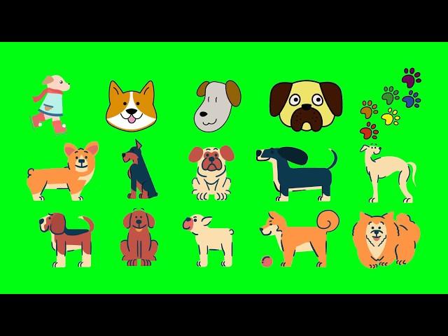  Cute ANIMATED DOG Green Screen 