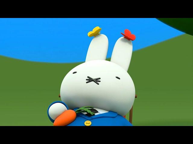 Butterflies love Daddy! | Miffy | Full Episodes