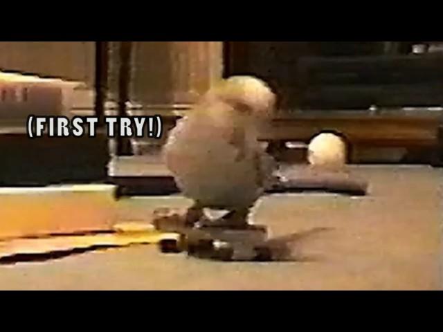 BUDGIE OLLIES STAIRS SKATEBOARDING BIRD JEREMY