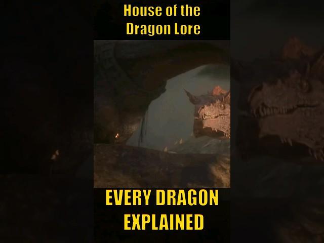 Every Dragon In House of the Dragon