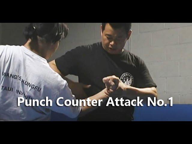 Punch Counter Attack No.1 #foryou#SelfDefense#Gongfu#Qinna