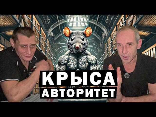 Толя Солома/история Васи Крупы про Изьясловскую Крытую за матёрую крысу.