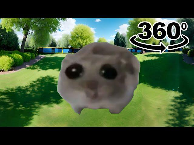 Sad Hamster Meme 360º