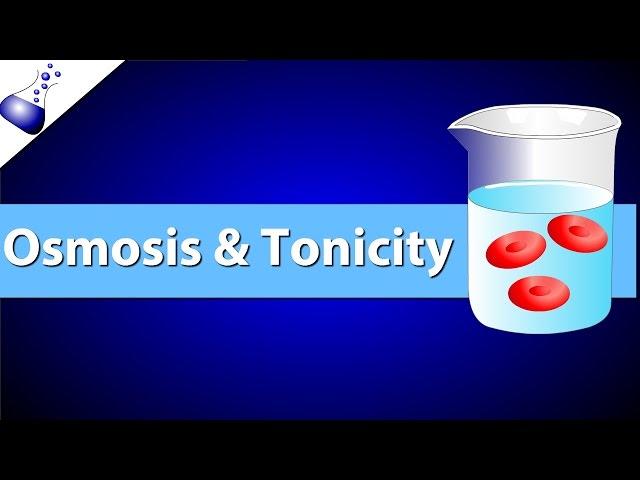 Osmosis and Tonicity