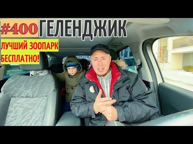 ЛУЧШИЙ ЗООПАРК ГЕЛЕНДЖИКА БЕСПЛАТНО! #400 ВЛОГ ГЕЛЕНДЖИК 23 02 2021 lovdan