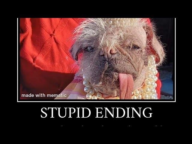 Dogs all endings meme.