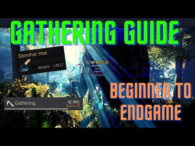 BDO - 2021 Gathering Guide: Beginner to Endgame