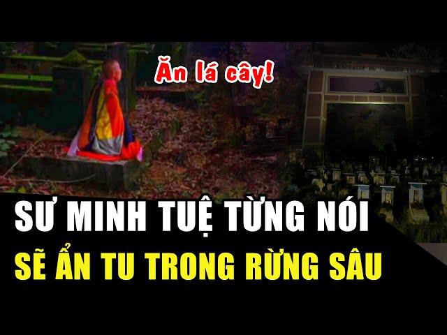 Rùng mình LỜI TIÊN TRI về số phận của mình: Sư Minh Tuệ nói SẼ ĂN LÁ CÂY ĐỂ SỐNG, không đi khất thực