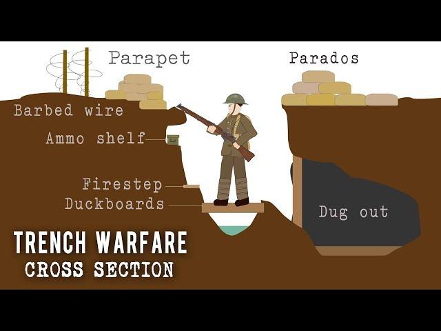 Trench Systems (Cross Section)