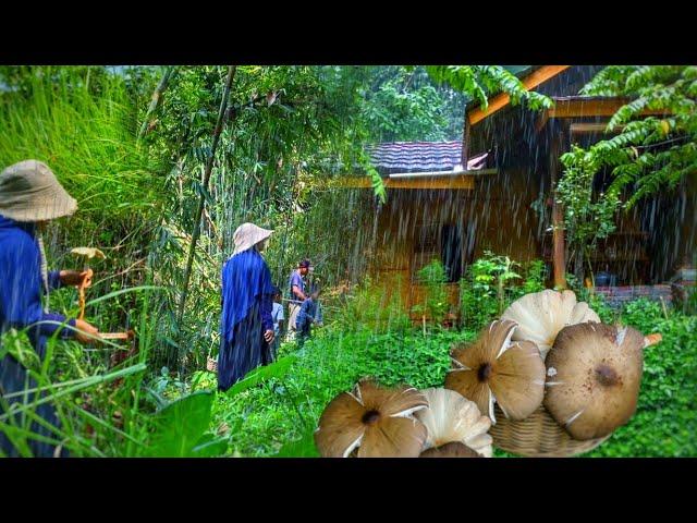Heavy Rain in the Village After Hunting for Wild Mushrooms | Living in the Village