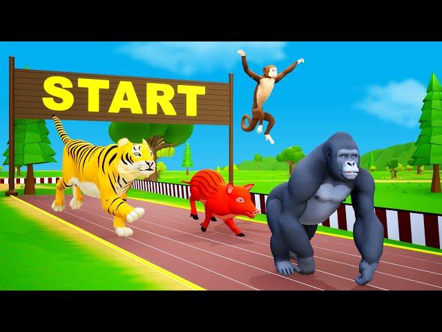 Crazy Animals Speed Race in Jungle Zoo | Funny Videos 3D Cartoons | Tiger,Gorilla,Monkey Videos 2023