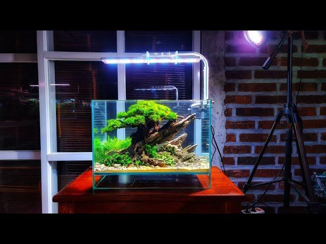 #334 Membuat Aquascape murah,budget 4nak kos kosan